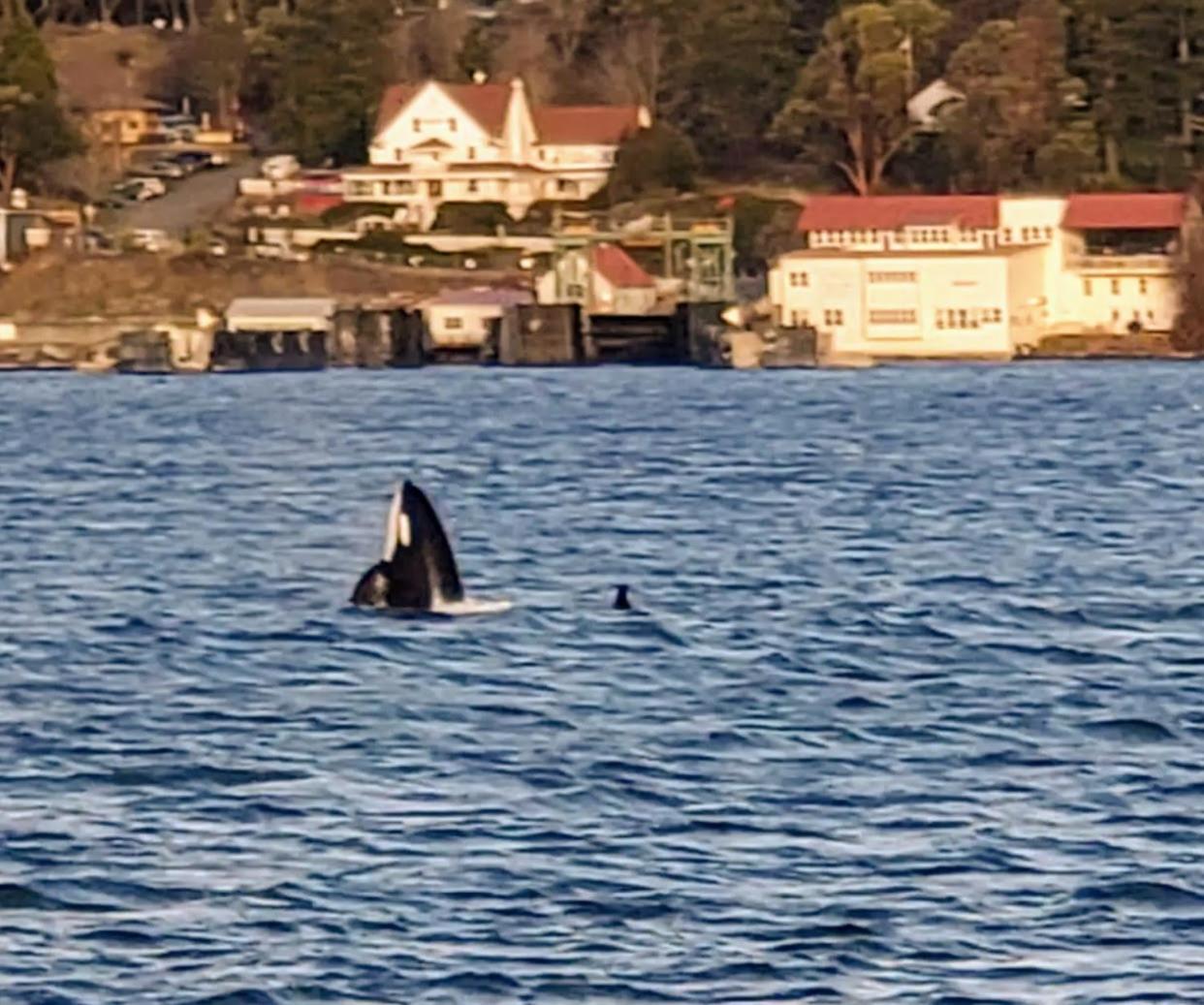 Orcas Hotel Exterior photo